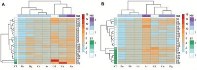 Heavy Metals in Marine Surface Sediments of Daya Bay, Southern China: Spatial Distribution, Sources Apportionment, and Ecological Risk Assessment